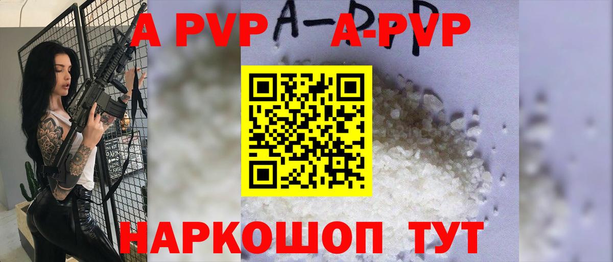 APVP Новозыбков