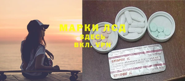 индика Нягань