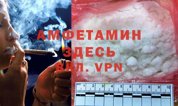 индика Нягань
