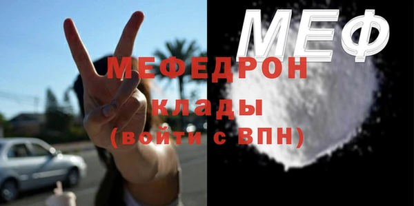 индика Нягань