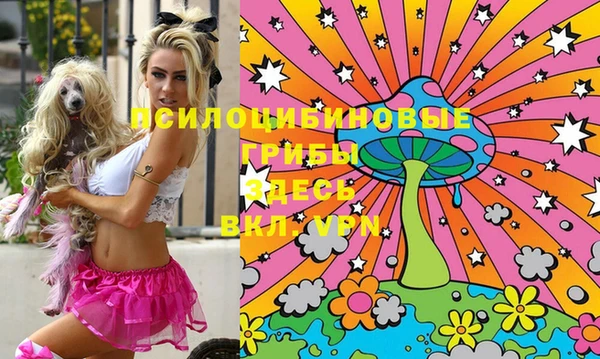 индика Нягань