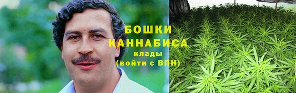индика Нягань