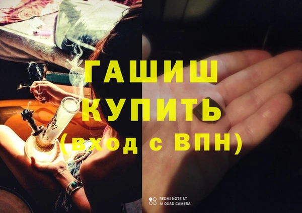 индика Нягань