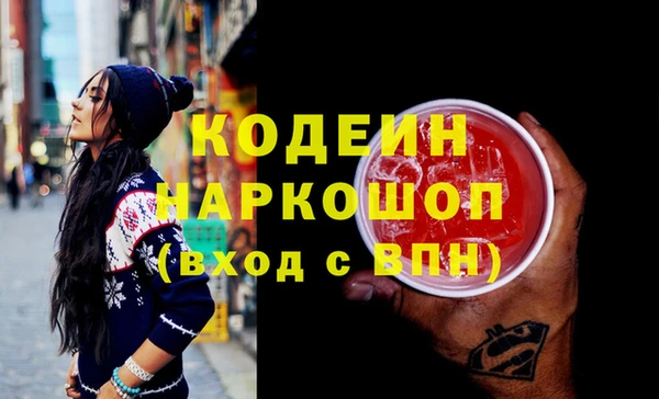 индика Нягань