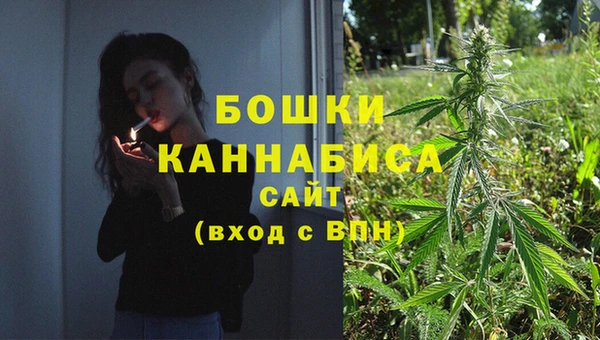 индика Нягань