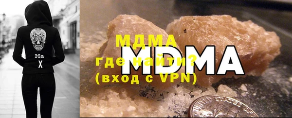 индика Нягань