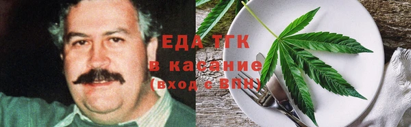 индика Нягань
