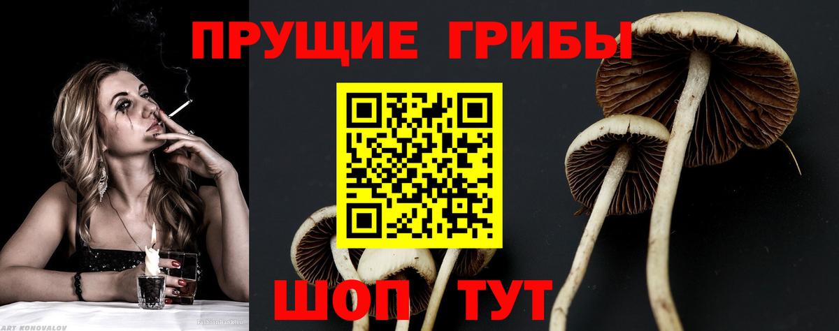 Галлюциногенные грибы мухоморы  Галлюциногенные грибы Cubensis  Новозыбков  Вход с VPN 