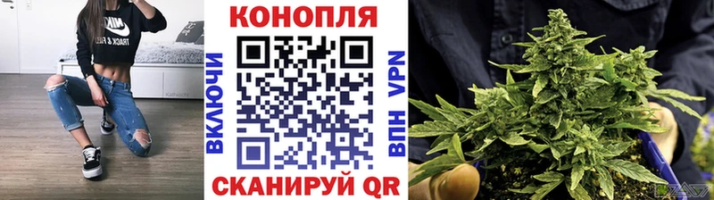 купить закладку  Новозыбков  Конопля THC 21% 