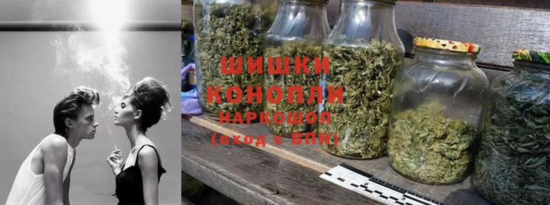 Бошки марихуана THC 21%  MEGA ссылки  Новозыбков 