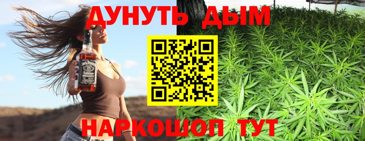 Новозыбков  Канабис гибрид  Вход с VPN  Конопля планчик  Бошки Шишки планчик  Бошки марихуана SATIVA & INDICA 